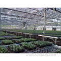 Structure agriculture green houses